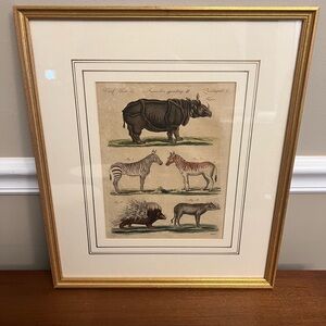 Framed Antique Animal Print by Friedrich Justin Bertuch